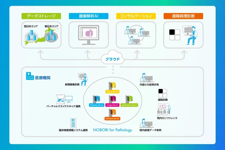 システムの概要図