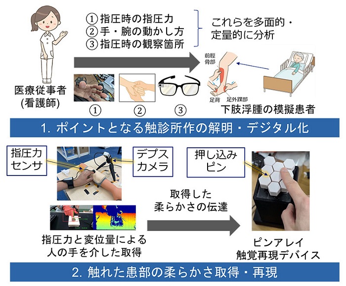 共同研究の内容