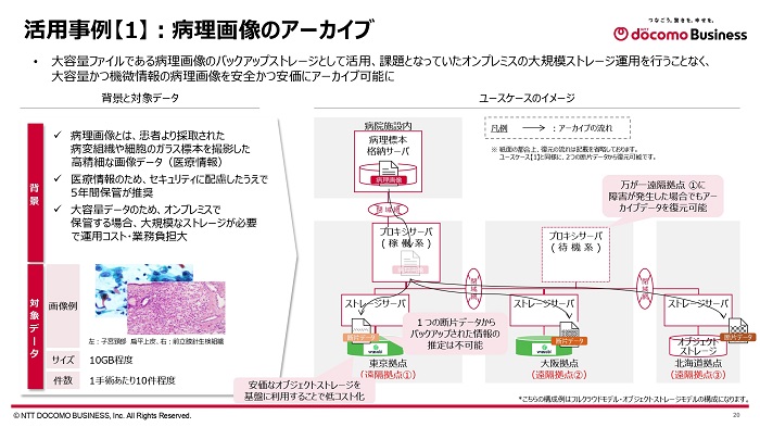 病理画像のアーカイブ」での活用例