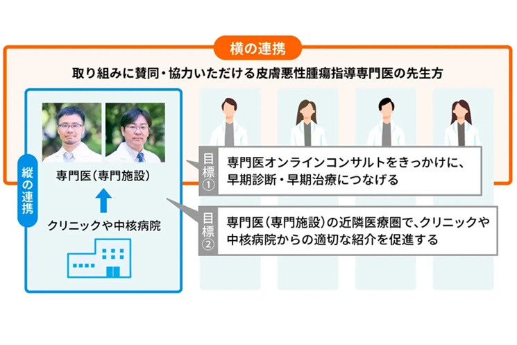 本プログラムで実現を目指す縦と横の連携（イメージ）