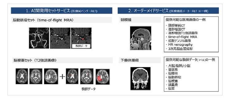 イヨウガゾウラボの提供サービス