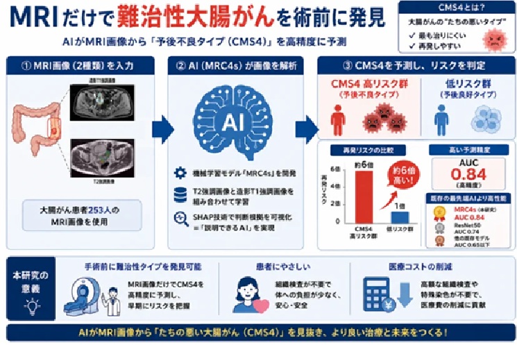 研究概要