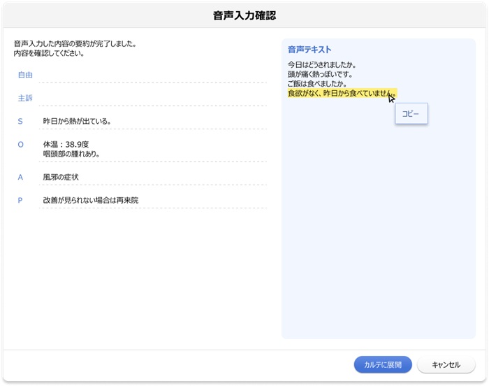 要約結果の表示イメージ