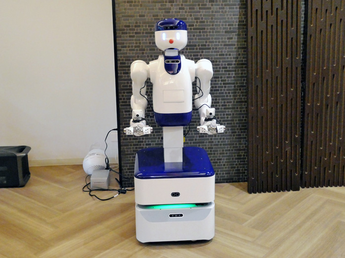 ヒューマノイドロボット「D1」